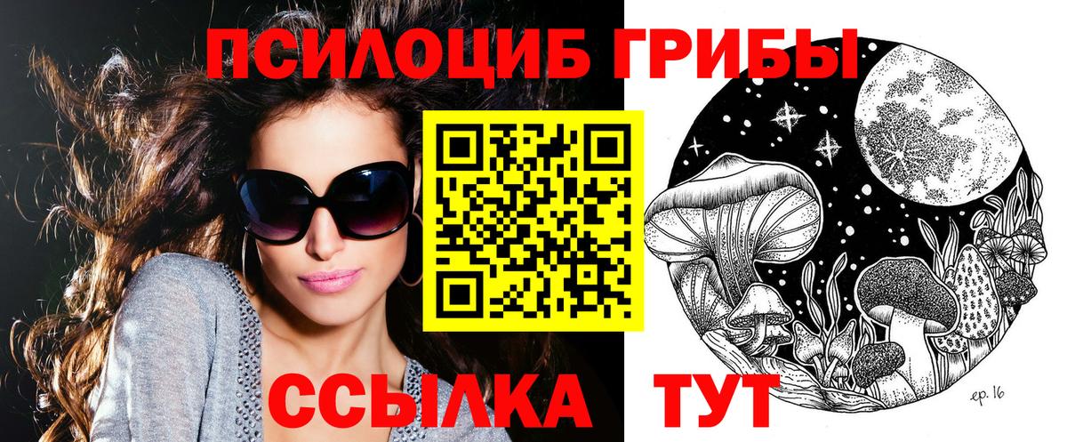 цены наркотик  Псилоцибиновые грибы GOLDEN TEACHER  Вход с VPN  Волжский 